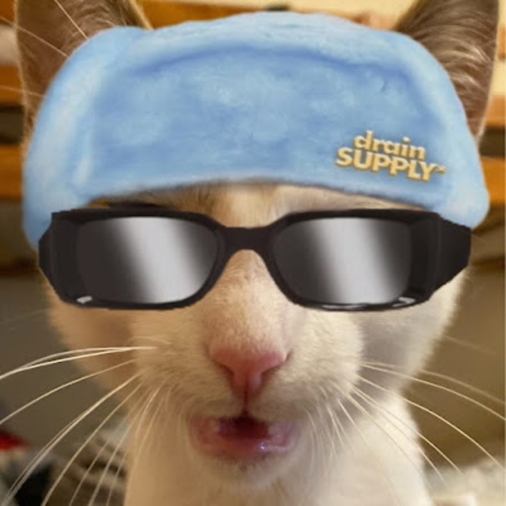 Meet your Posher, Kronicx